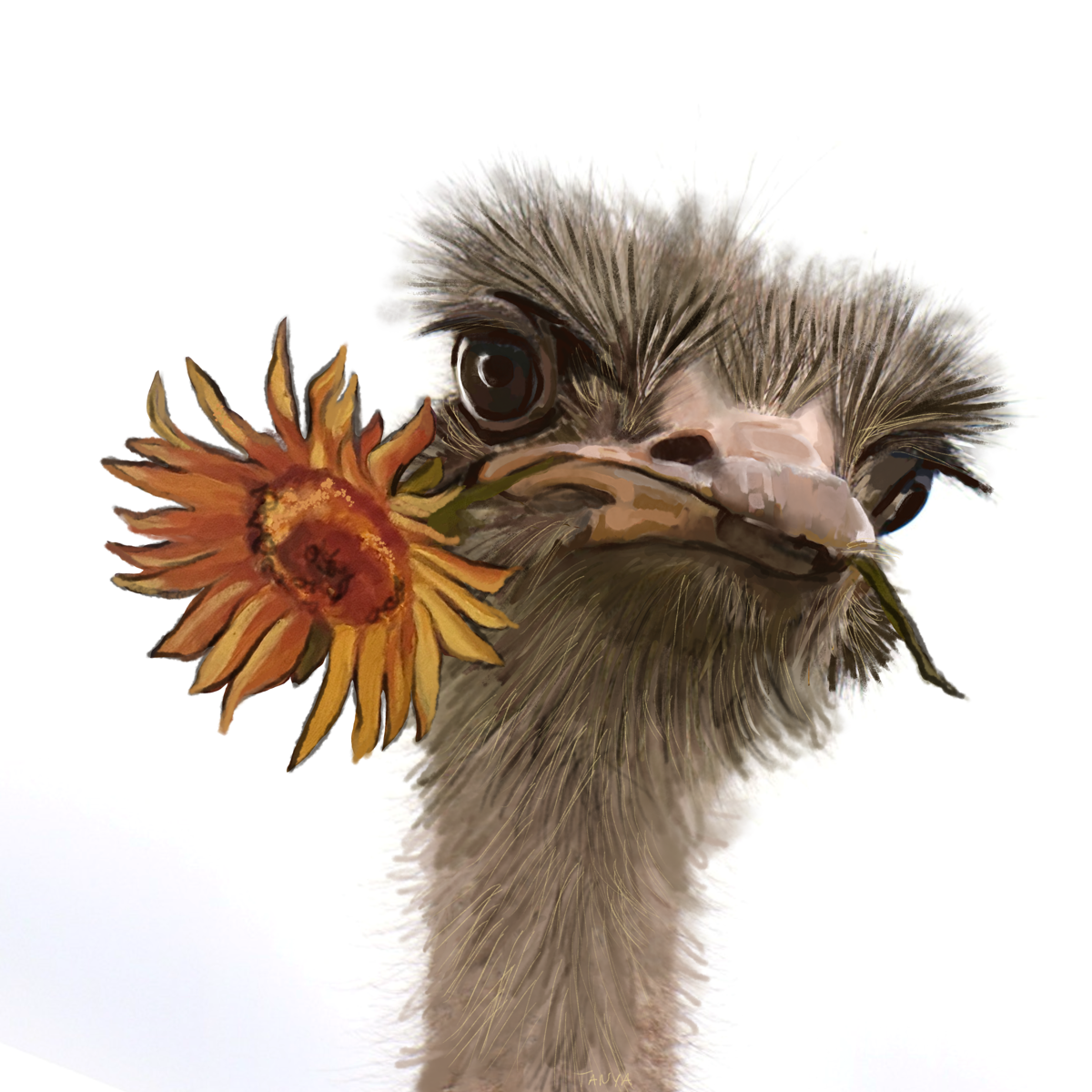 Don’t ruffle my feathers